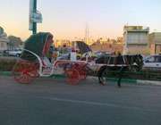 درشکه سواري در شهر