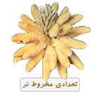 دنیای گیاهان 2