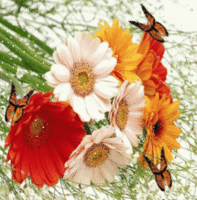 گل نرگس و شعر انتظار ما (سروده‌ای از محمدعلی اردهالی)