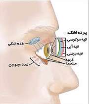 خشکی چشم را جدی بگیرید