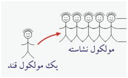 مواد غذایی ضروری بدن