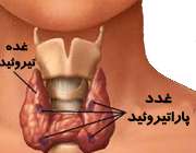 نکاتی درباره اختلالات غده تیروئید
