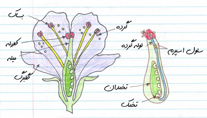 لقاح
