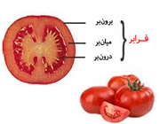 میوه