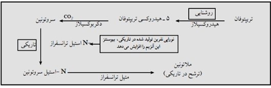 غده پینه آل