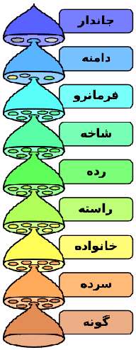 طبقه‌بندی جانداران