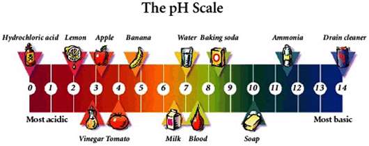 مفهوم PH