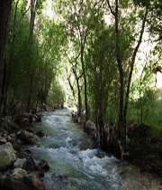اردوی یک روزه هفت چشمه 
