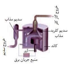 سلول دانز