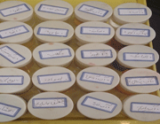 مصاحبه با دانش آموزان مدرسه رفاه در دهمین جشنواره پروژه های دانش آموزی تبیان