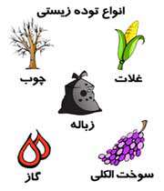 تراكم زیست (Biomass) 