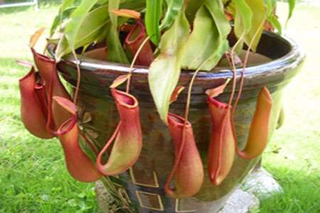 آب های غیر چسبنده