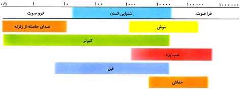 بررسی خطبه 65 نهج البلاغه و ارتباط آن با فیزیک صوت