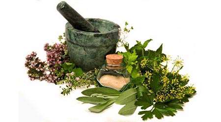 تولید شوینده طبیعی از تراریوم گیاه آلوئه ورا - جلسه هفتم