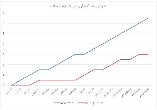 تاثیر امواج تلفن همراه، دستاورد برتر دبستان شاهد یاس نبی