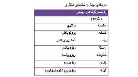 اثر  تلقیح باکتری ریزوبیوم بر محصولات کشاورزی، جلسه سوم 