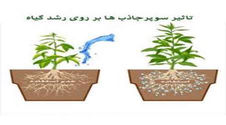 ساخت گلدان ابر جاذب آب با استفاده از سلولز