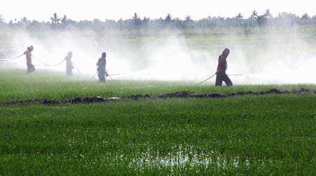 کاربرد نانو کپسول در جلوگیری و کنترل آفات - جلسه دوم