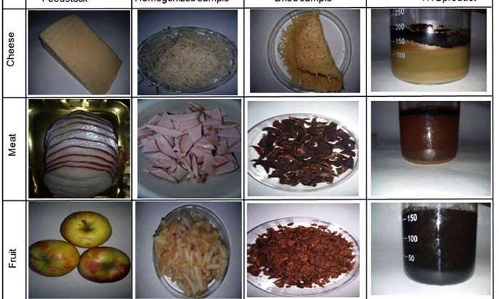 تبدیل ضایعات غذایی به سوخت‌های زیستی با روش ابداعی جدید 