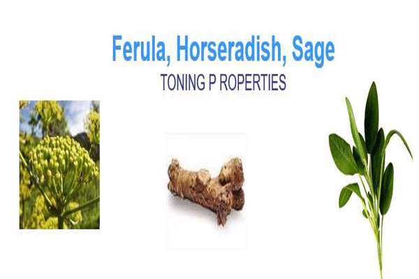 نانو کپسول ژلاتین با عصاره گیاه مریم گلی حاوی تیتانیوم دی اکسید