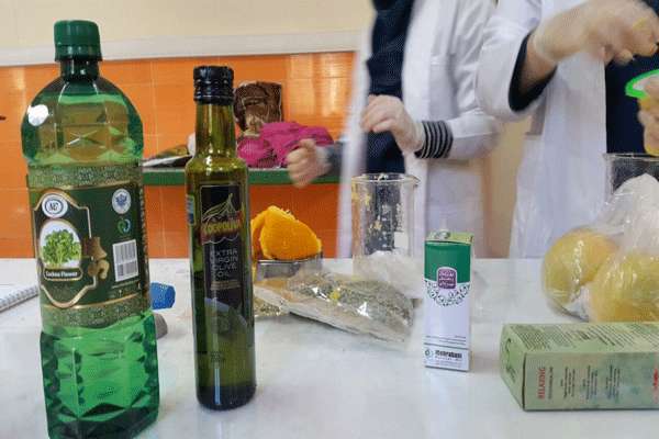  بررسی تاثیر علف چشمه بر روی میل به استعمال نیکوتین و ساخت معجون ارگانیک برای کاهش کمبود و میل به نیکوتین