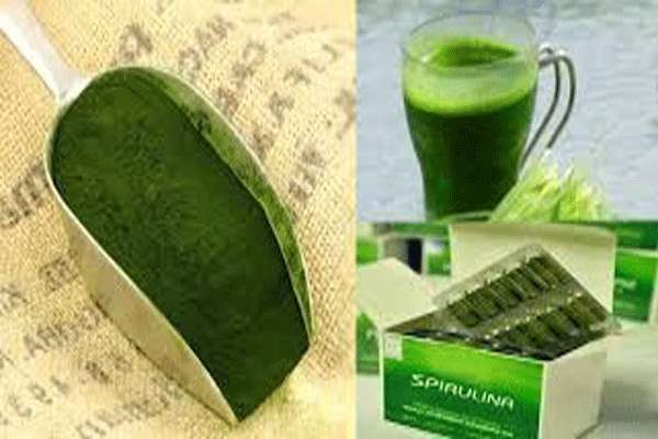 جایگزین پودر اسپیرولینا به جای کود شیمیایی ازته برای رشد و بهبود کیفیت و عدم استفاده از کودهای شیمیایی مضر