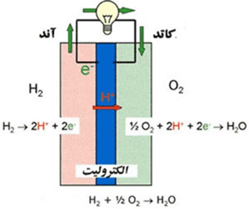 ساخت پیل سوخت میکروبی