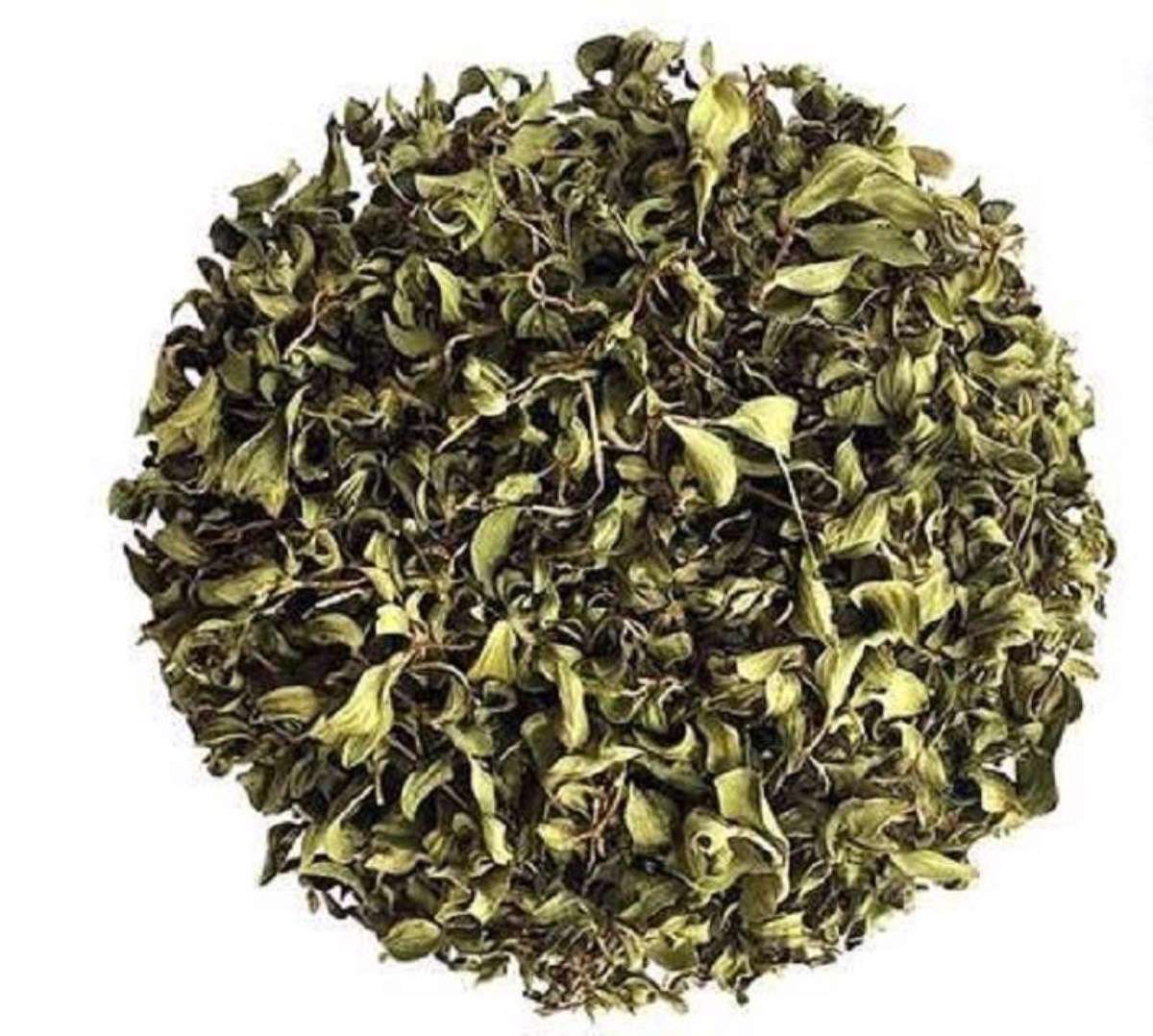 خواص گیاه کاکوتی
