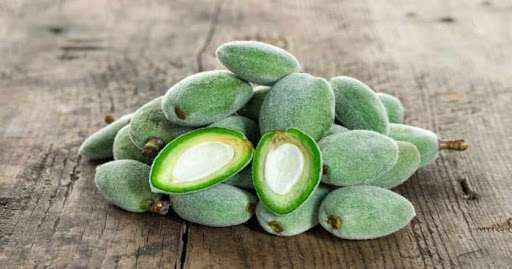 خواص چغاله بادام برای سلامتی