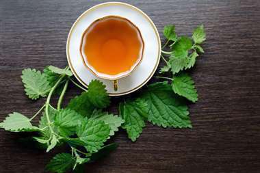 خواص دمنوش ترکیبی گزنه و بابونه چیست؟