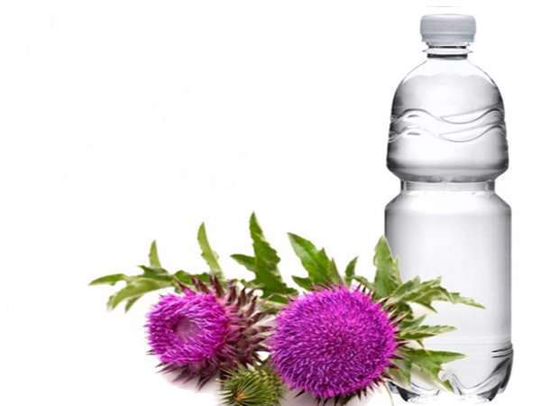 خواص شگفت انگیز عرق خار مریم