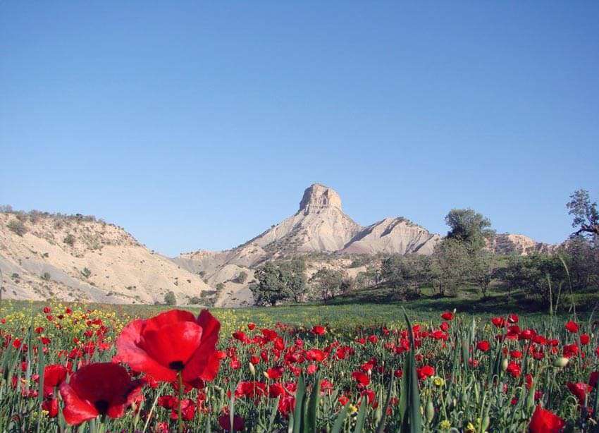 مناطق زیبا و دیدنی استان ایلام