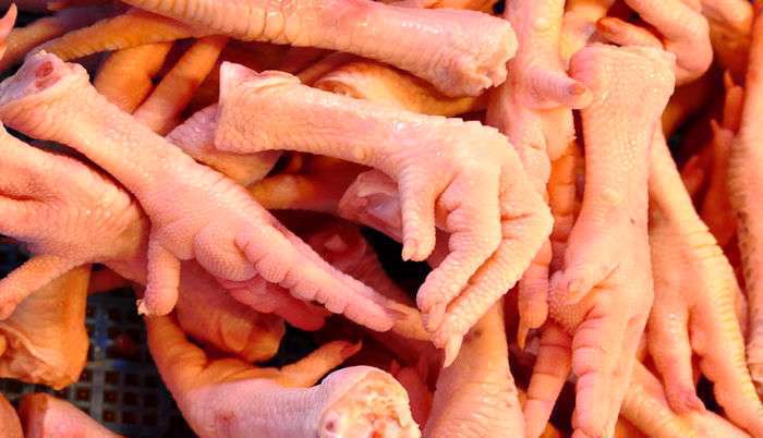 پای مرغ برای دیسک کمر و غضروف مفید است؟