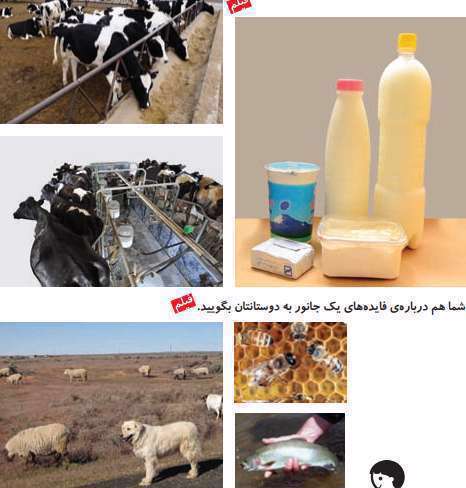 آموزش بخش چهارم علوم کلاس اول
