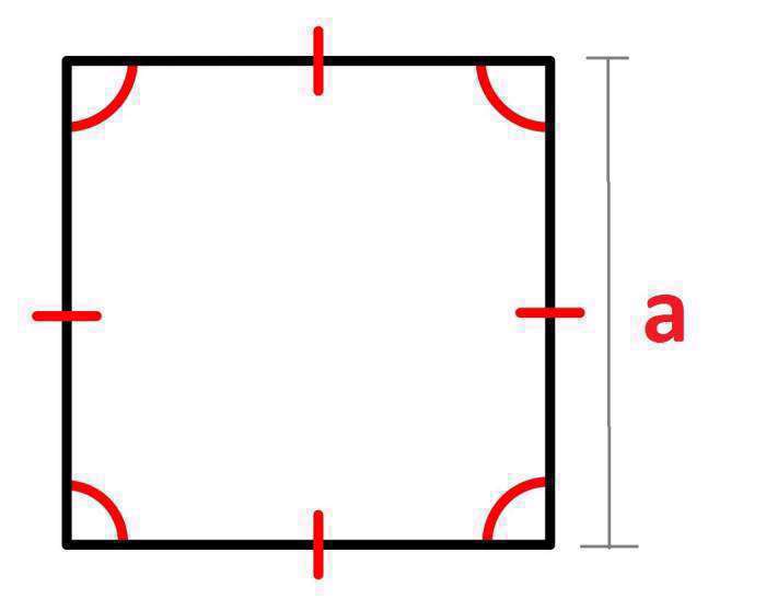 محیط مربع، مستطیل و دایره چگونه به دست می‌آید؟