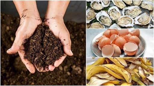 قارچ‌ها چگونه باعث بهبود و تقویت خاک می‌شوند؟ علوم پایه ششم