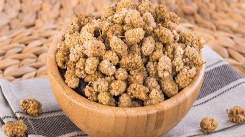روش‌های تهیه توت خشک در خانه؛ چطور توت خشک در منزل تهیه کنیم؟