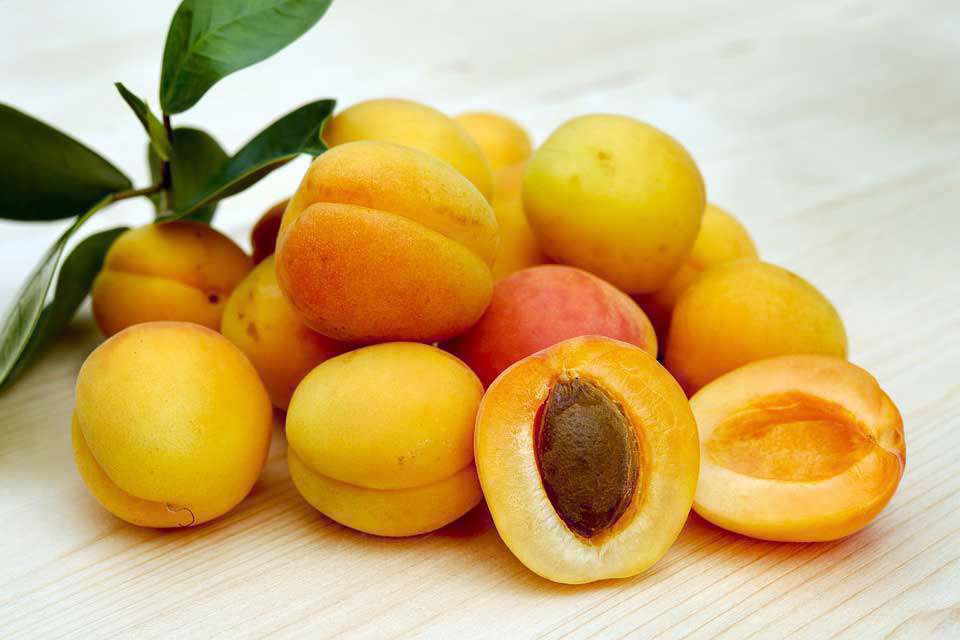 طرز تهیه مارمالاد زردآلو در خانه