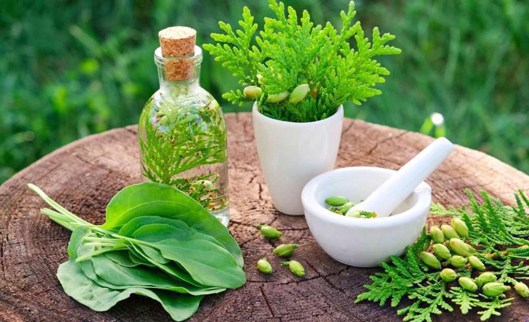 دوره آموزشی طب سنتی