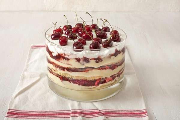 طرز تهیه انواع دسرهای تابستانی عالی