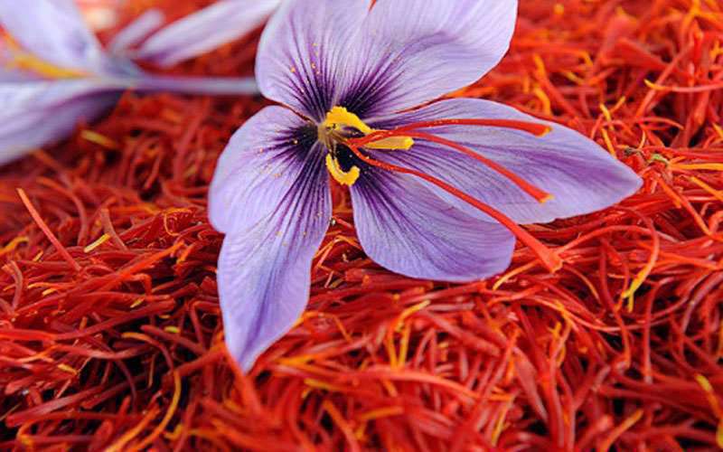 سوغاتی و صنایع دستی شهر مشهد را بشناسید