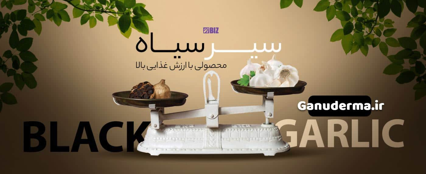 سیر سیاه دکتر بیز